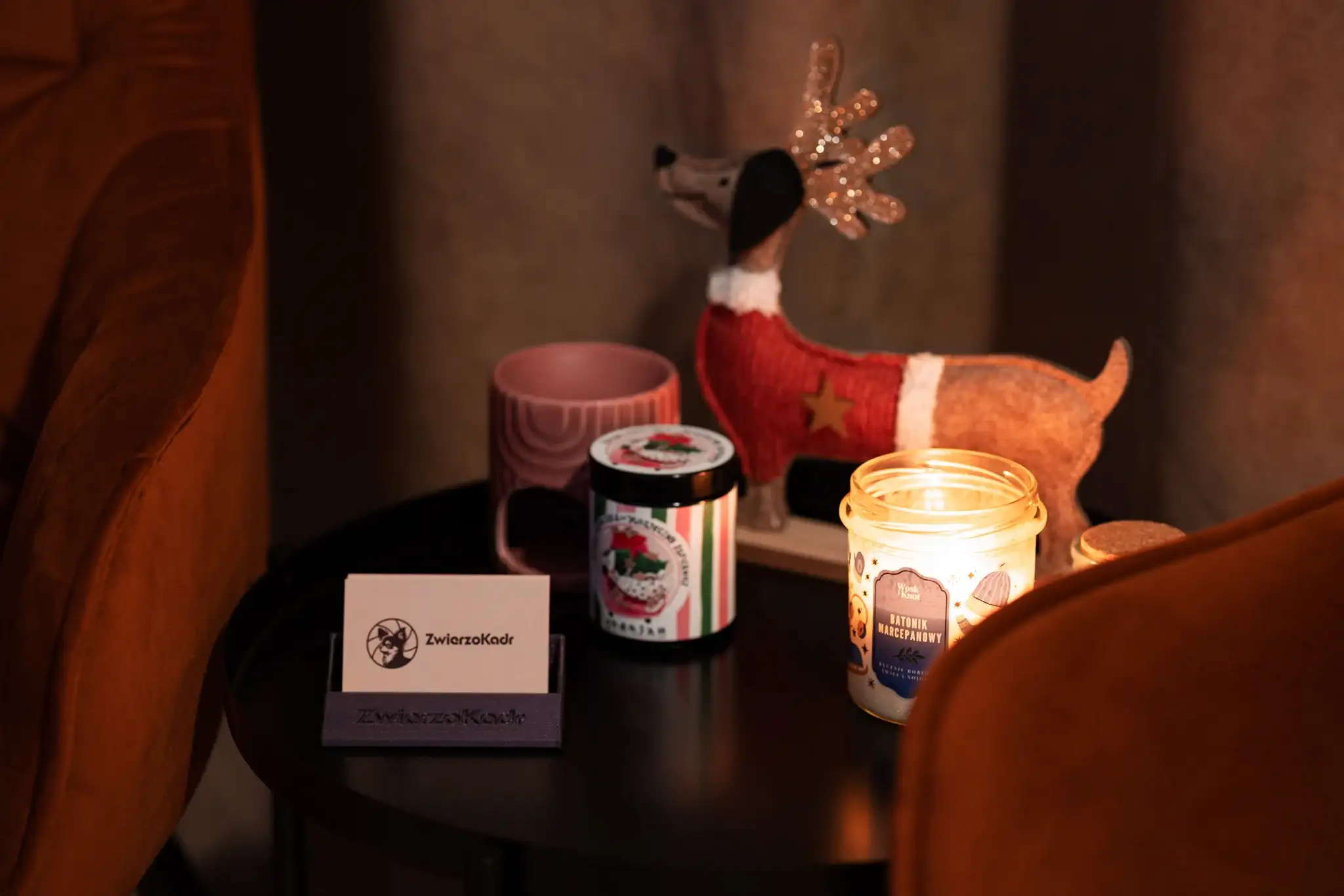 Studio fotograficzne dla zwierząt w Białymstoku - Ciche Studio x ZwierzoKadr